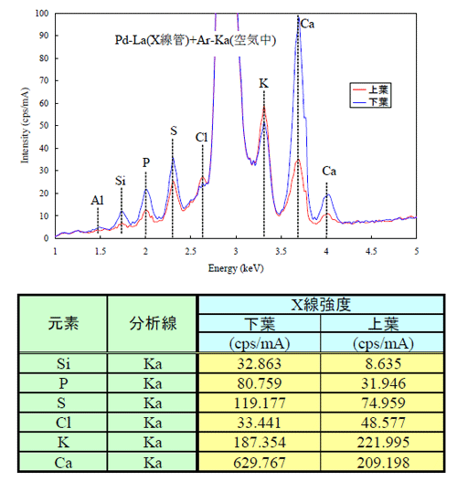 トマトの葉分析分析結果