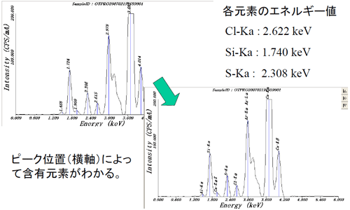 定性分析について